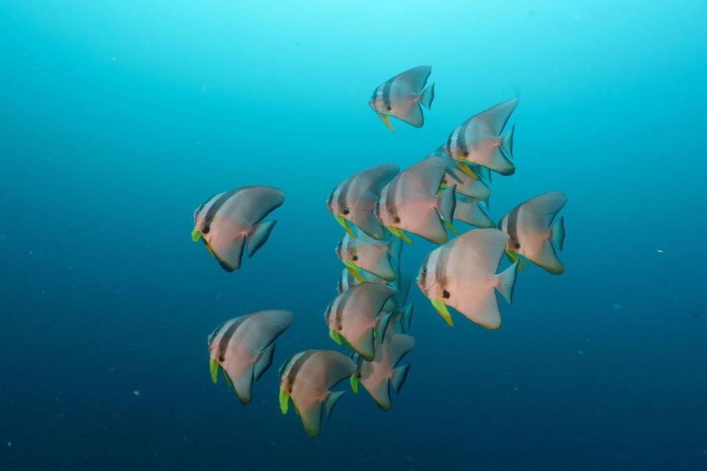 Photo of Others in Kendhoo