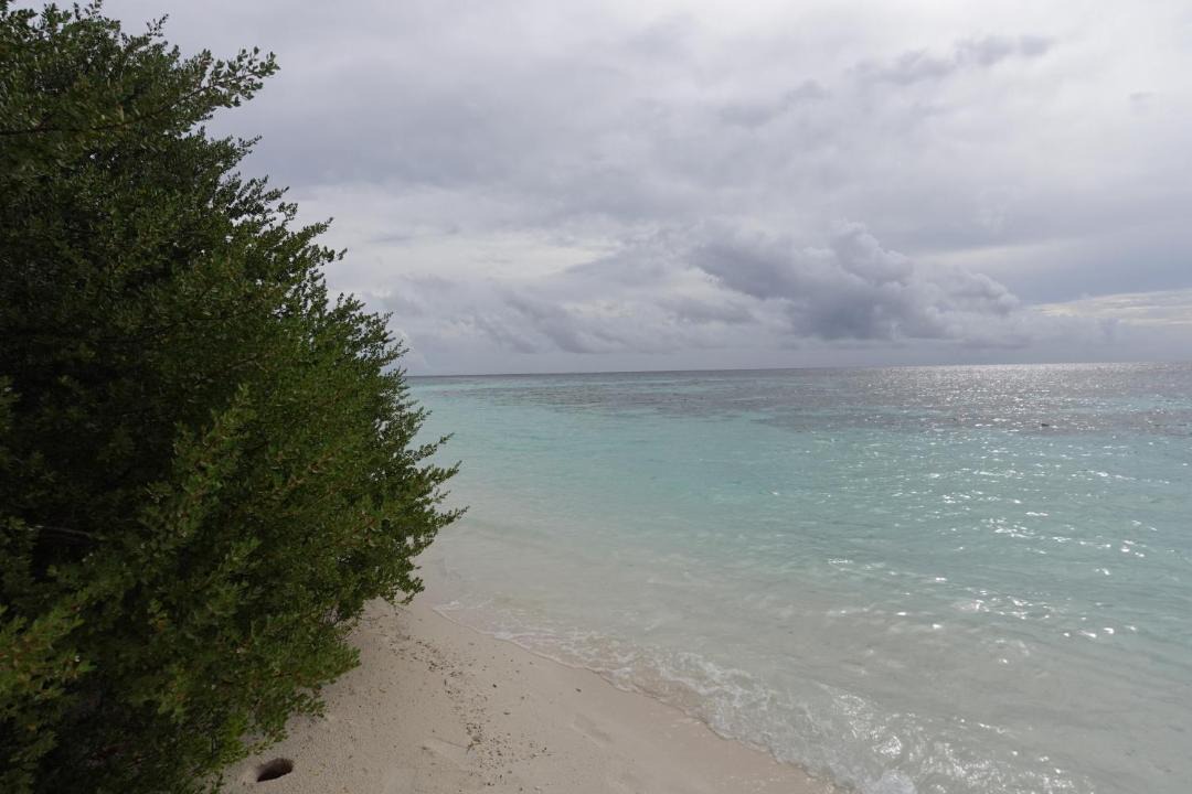 Photo of Others in Thinadhoo