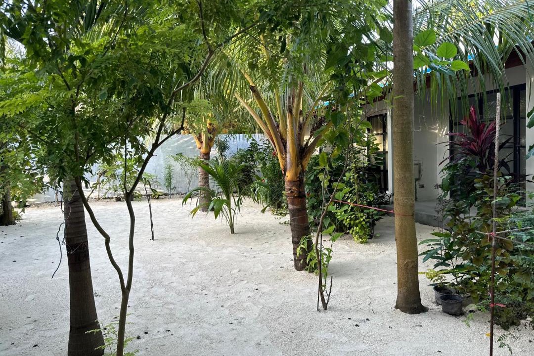 Photo of Others in Thoddoo