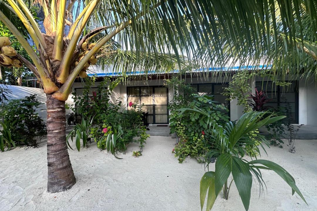 Photo of Others in Thoddoo
