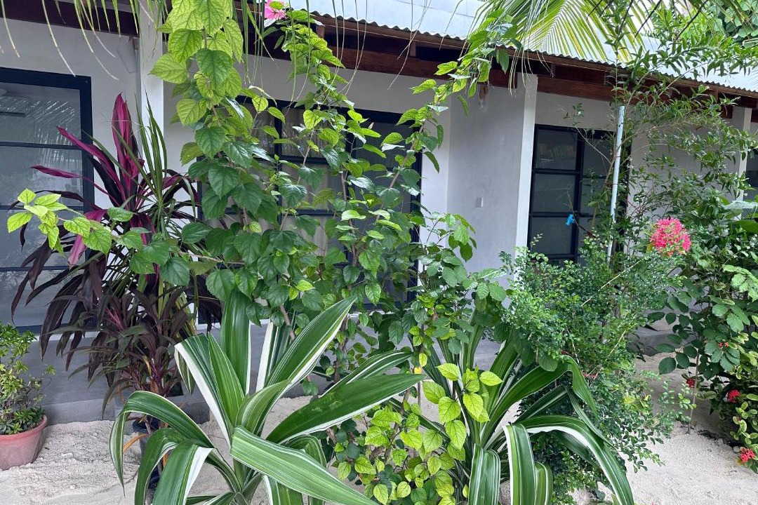 Photo of Others in Thoddoo