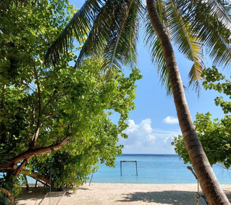 Photo of Others in Thoddoo