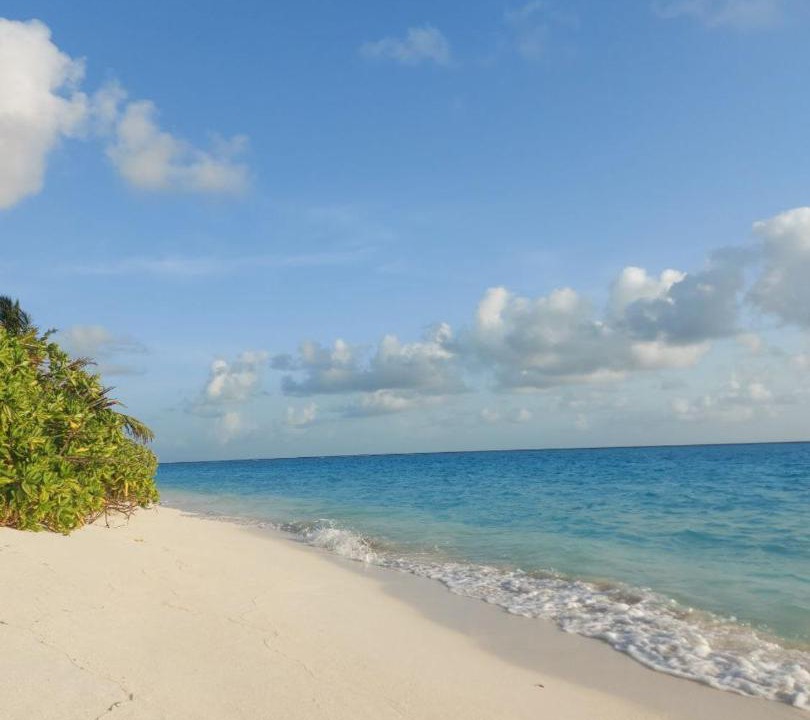 Photo of Others in Thoddoo
