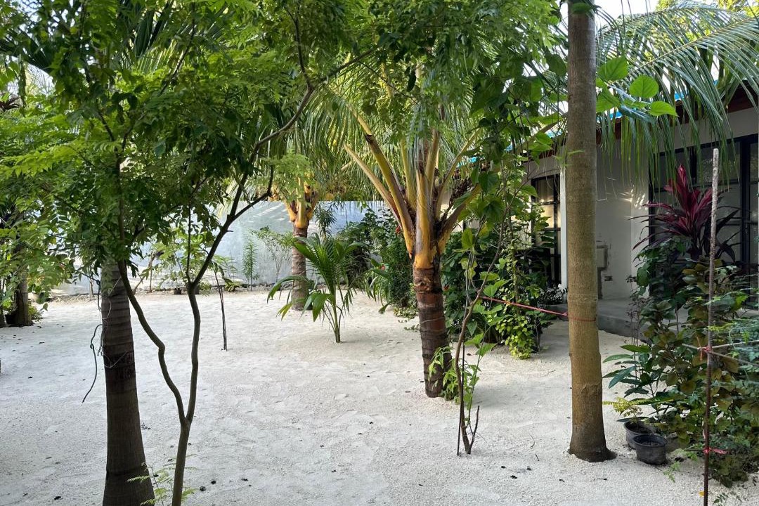 Photo of Others in Thoddoo