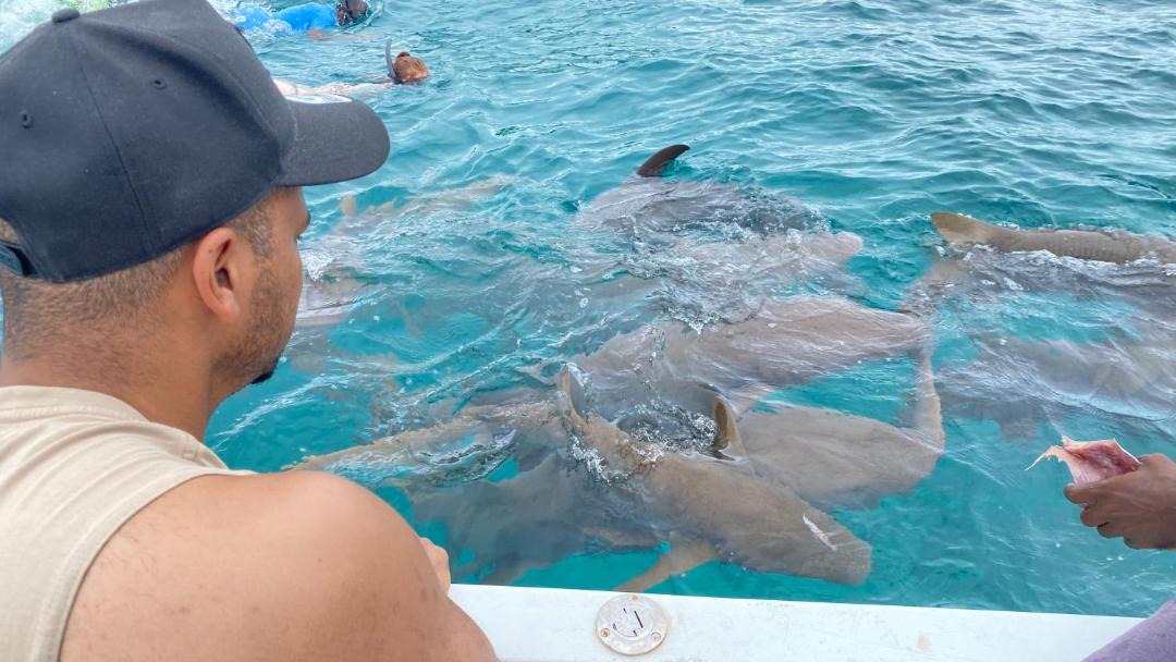 Photo of Others in Felidhoo
