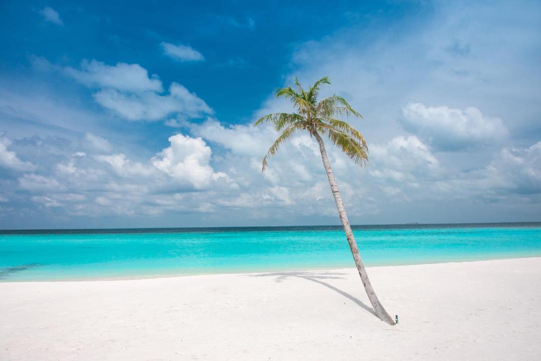 Photo of Others in Rasdhoo