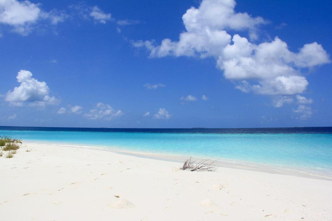 Photo of Others in Rasdhoo