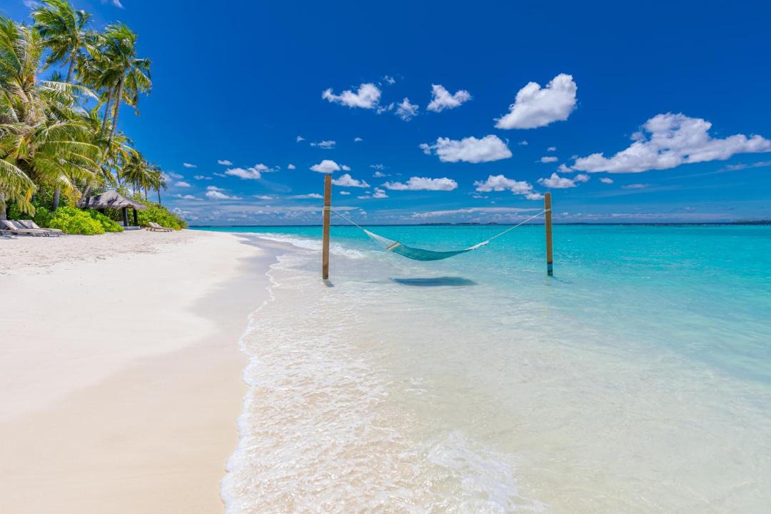 Photo of Others in Iru Fushi