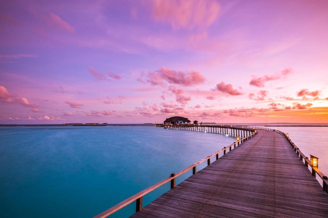 Photo of Others in Iru Fushi