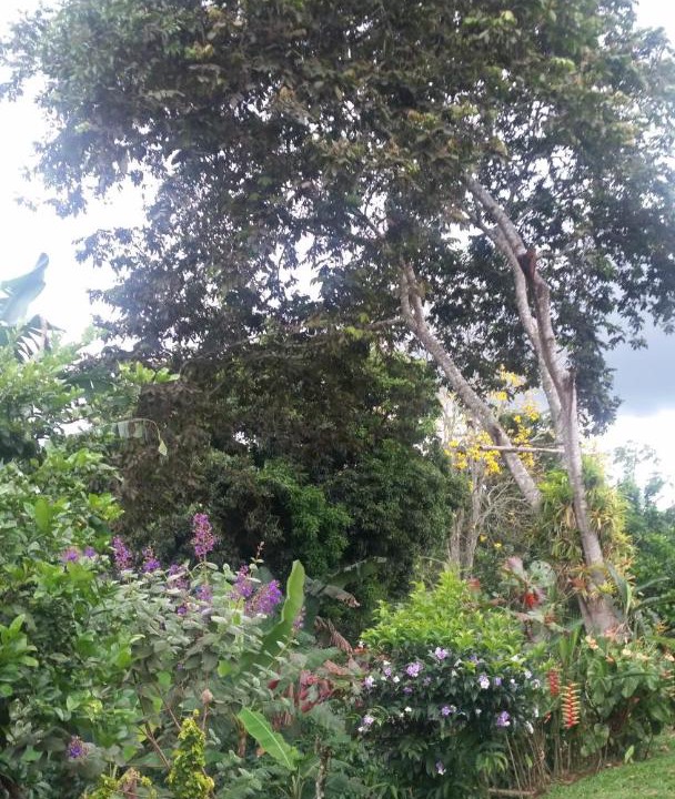 Photo of Outdoor in Montenegro