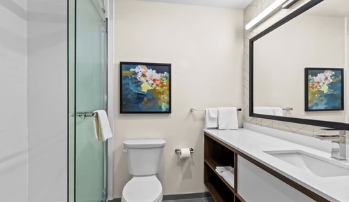 Suite, 1 King Bed, Non Smoking (Efficiency)