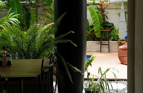 Maafushi House | Zinnia Villa