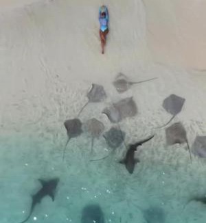 Thulusdhoo Island House | Amazonite Maldives