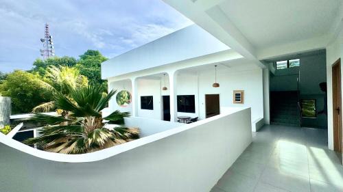 Felidhoo Hotel | Kawaii Stay Maldives