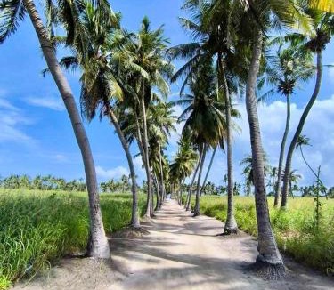 Thoddoo Villa | Sosun View Private Villa