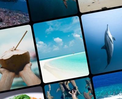 Thulusdhoo Island Hotel | VelaaOlhu - Turtle Hive Thulusdhoo