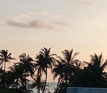 Dhiffushi Apartment | Dhiffushi Tourist Home