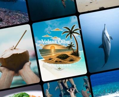 Thulusdhoo Island Hotel | VelaaOlhu - Turtle Hive Thulusdhoo