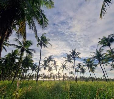 Thoddoo Hotel | Ocean Vida Maldivas