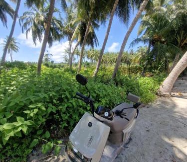 Thoddoo Hotel | Ocean Vida Maldivas