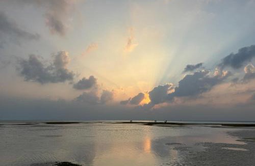 Dhiffushi House | Oasis Retreat Dhiffushi