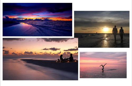 Dhiffushi Hotel | Tripo Dhiffushi Villa