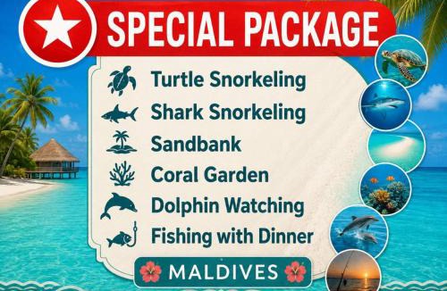 Dhiffushi Hotel | Tripo Dhiffushi Villa