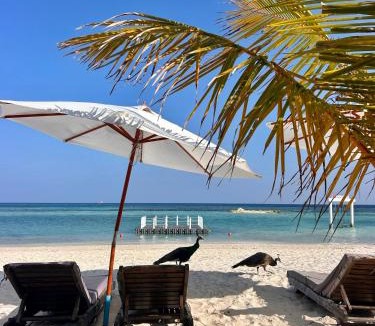 Himmafushi House | FUNPLACE BEACH