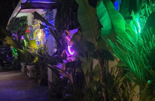 Dhangethi House | FEHIVILLA RESIDENCE inn