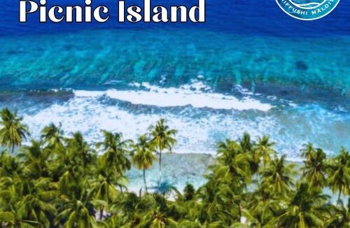Dhiffushi Hotel | All Inclusive Stays by Excited Tours - Dhiffushi