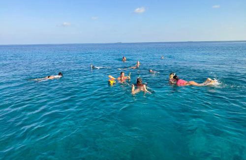 Dhidhdhoo House | Coconut Palm Dhidhoo