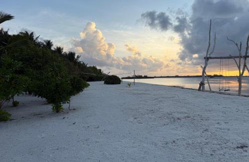 Dhidhdhoo House | Coconut Palm Dhidhoo