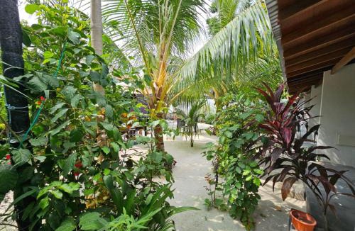 Thoddoo House | Boli Villa Thoddoo