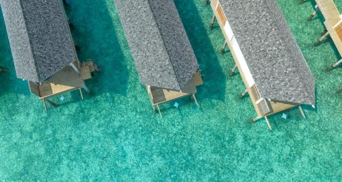 Raa Atoll Resort | RAAYA By Atmosphere - Premium All Inclusive with Free Transfers