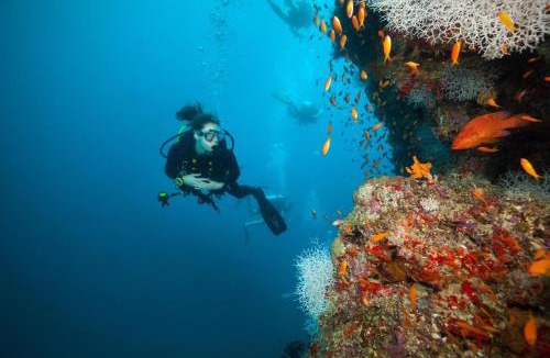 Manafaru Island Resort | JA Manafaru, The Real Maldives - Complimentary Seaplane for 7 nights and more - Stay Period 01 May 2026 to 23 Dec 2026