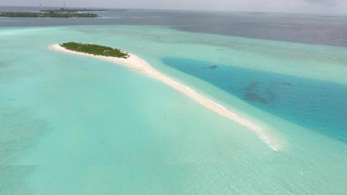 Rasdhoo House | Palm Residence
