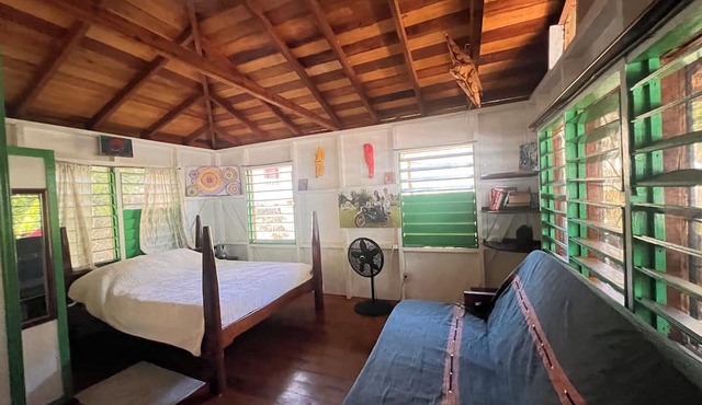 Treetop Beachfront Cabana in Placencia