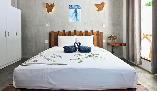 Dive and Sleep - All Inclusive Diving Guesthouse - 3 Dives per day
