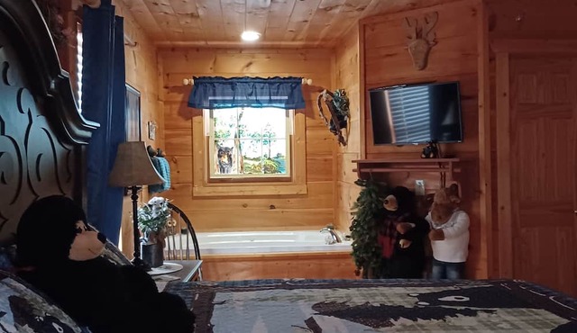 A BEARY TALE - INCREDIBLY ROMANTIC AND COZY - FREE WIFI - Perfect Location! in Gatlinburg