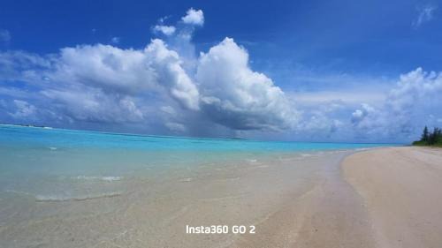Blue Wave Guesthouse Maldives - Book FB a week gets a free oneway domestic trasport for one person