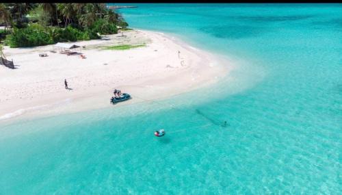 Island Hospitality