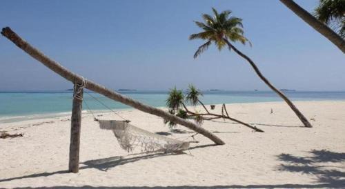 PERLA Dhangethi